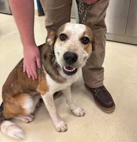 Photo of Tye K39 11/26/25