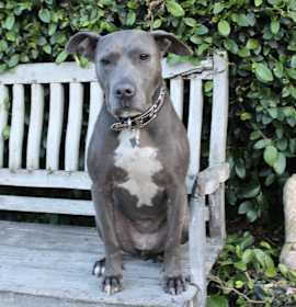 Photo of Rayla - LoVInG & PlaYful