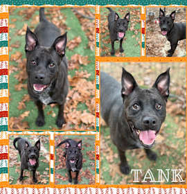 Photo of Tank