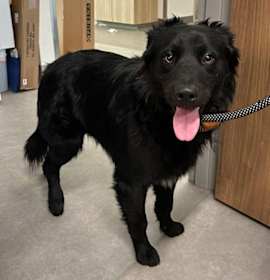 Photo of 25-099 Cole "Coming Soon!"