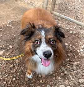 Photo of Dorothy Emerald