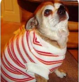 Photo of ~Cheeko, Squeeze Me and Smile~