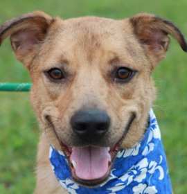 Photo of Keagan - MEET ME 12/06/25 @ PETCO!