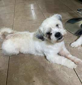 Photo of Clyde in TX