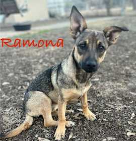 Photo of Ramona
