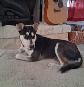 Photo of Mimi (Mermaid)