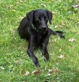 Photo of Wallen (aka Bubby)