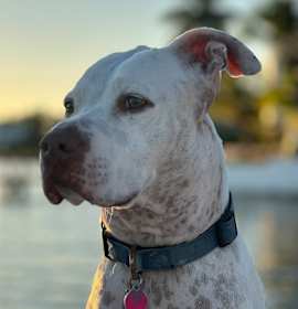 Photo of Lyla Juliet