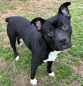 Photo of Bowie ~ meet me!