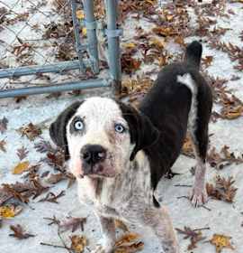 Photo of Jameson 25-D0525