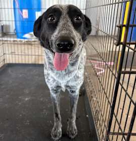 Photo of Pepper Pots 