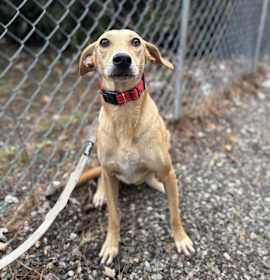 Photo of Betty - 25299