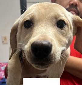 Photo of Malcolm B830