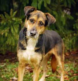 Photo of Appt Pending - Sage