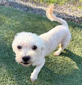 Photo of Quentin/CCCAS