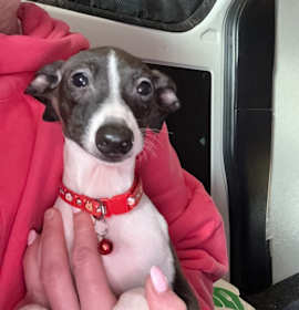 Photo of Minister of Defense