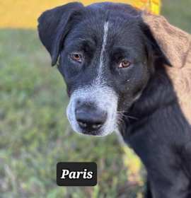 Photo of Eris (Paris)