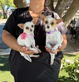 Photo of Mindy and Mia