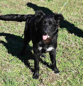 Photo of Cracker Jack