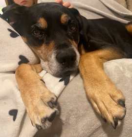 Photo of Boston (in Foster)