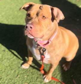 Charlie fka Carrie photo 1