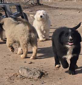 Photo of **JESSE EVANS