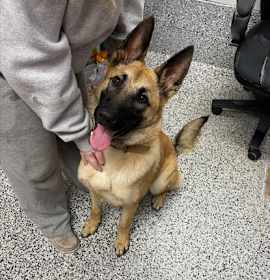 Rocket FKA Tanner photo 2