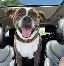 Photo of Charlie 2114