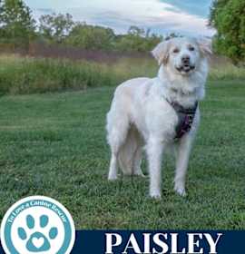 Photo of Paisley (mom to Paisley's Poppets) 041925