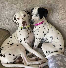 Photo of Kash & Kylie