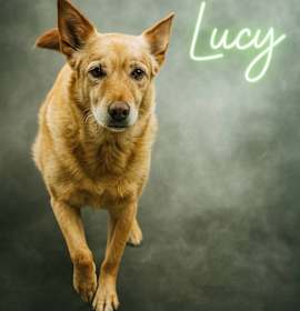 Photo of Lucy