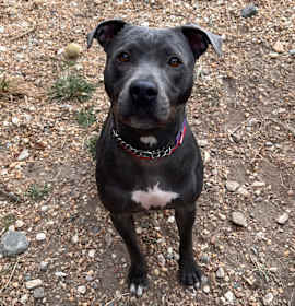 Photo of Sierra Mist