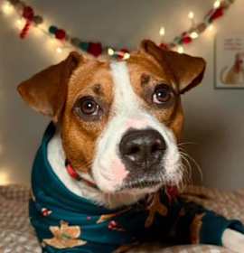 Photo of Hotsy-Totsy