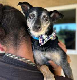 Photo of Old Man Bruce