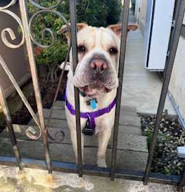 Photo of Camilla (aka Cami)