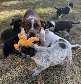 Photo of Lucy aka Mona Lisa