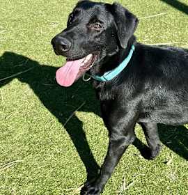 Photo of Thibaudeau / Jett