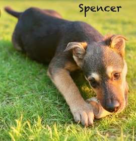 Photo of Spencer meet me 12/13