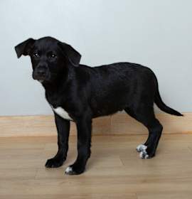 Photo of Willy D67240