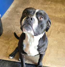 Photo of Popcorn (Pop)