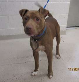 Photo of Castle (52)