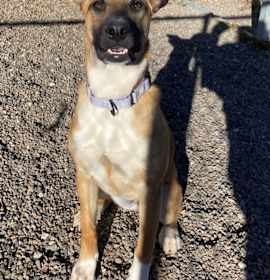 Photo of Jenna 2nd Impound