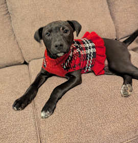 Photo of Cindy Lou Who