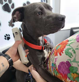 Photo of HARRY POTTER