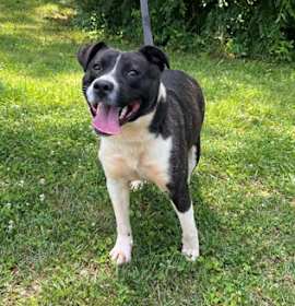 Photo of Dottie City026