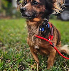 Photo of Ludwig von Bethoven