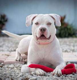 Photo of Ms.  Roxanne Potts