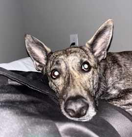 Photo of Wells (Courtesy Post)