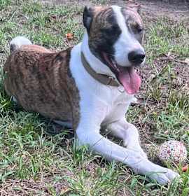 Photo of Emilio aka Miles 