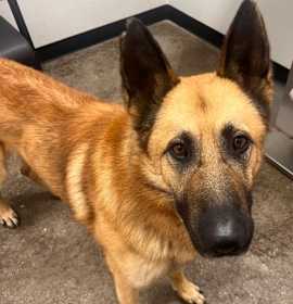 Rocket FKA Tanner photo 3